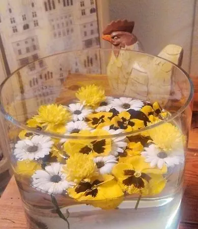 Pirineos Pensión Barbastro