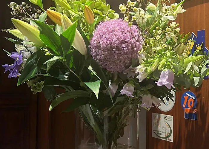 Pirineos バルバストロ