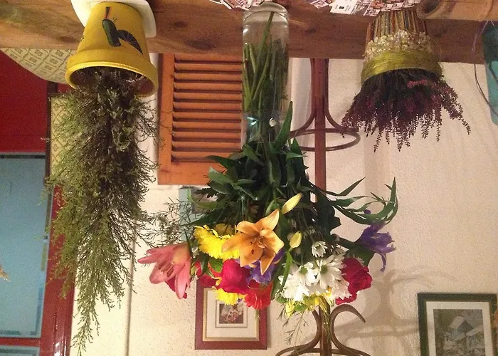 Pirineos 3* バルバストロ