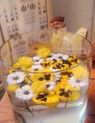 Pirineos ゲストハウス バルバストロ