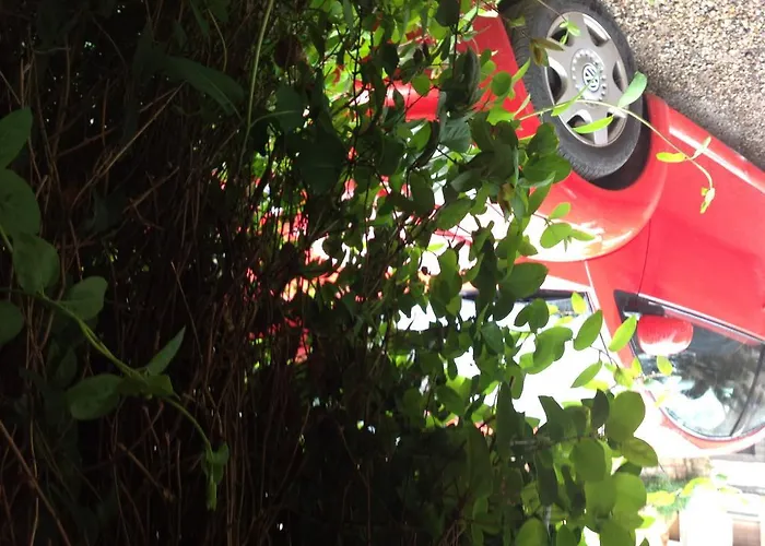 Pirineos バルバストロ